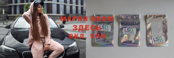 стаф Вязники