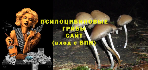 стаф Вязники